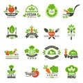 Vegan emblem. Fresh eco healthy food market vegetarian emblems green ecology vector symbols isolated