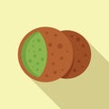 Vegan falafel icon flat vector. Pita cooking