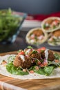 Vegan Falafel Wrap With Salsa Royalty Free Stock Photo