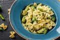 Vegan Farfalle pasta in a spinach sauce with broccoli, brussels sprouts, green beans in plate on dark stone background. Top view,