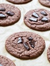 Vegan flowerless cookies Royalty Free Stock Photo