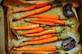 Vegan food with carrots and onion grilled in the oven