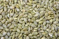 Peeled pumpkin seeds. Raw pumpkin seeds for roasting close. Vegan food