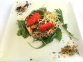 Vegan food, quinoa and shoots, health and wellness Royalty Free Stock Photo
