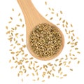 Vegan Freekeh Rice Health Food Royalty Free Stock Photo