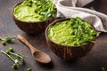 Vegan green broccoli soup or smoothie