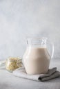 Vegan green buckwheat milk in glass jug, plant based milk replacer. Royalty Free Stock Photo