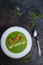 Vegan green cream soup in bowl with salmon and capers on grey rustic table, top view Royalty Free Stock Photo