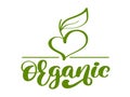 Vegan green organic nature vector logo template design calligraphy illustration, food design. Handwritten lettering for Royalty Free Stock Photo