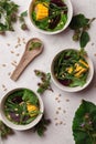 Vegan green salad. Salad with greens. Royalty Free Stock Photo