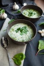 Two plates of green cream soup with garlic Royalty Free Stock Photo