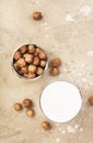 Vegan Hazelnut nut milk in bottles, closeup, beige table background. Non dairy alternative milk. Healthy vegetarian food and drink