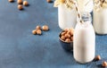 Vegan Hazelnut nut milk in bottles, closeup, blue table background. Non dairy alternative milk. Healthy vegetarian food and drink