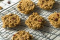 Vegan Healthy Breakfast Cookies Royalty Free Stock Photo