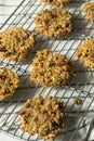 Vegan Healthy Breakfast Cookies