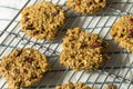 Vegan Healthy Breakfast Cookies