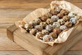 Vegan healthy energy balls with oatmeal  chia seed  coconut flakes  cocoa  dried fruits and almond. No cook energy bites in white Royalty Free Stock Photo