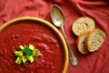 Vegan , healthy food : beet and carrot soup