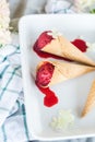 Vegan ice cream berry sherbet Royalty Free Stock Photo