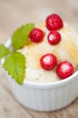 Vegan icecream with forest strawberries Royalty Free Stock Photo