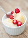 Vegan icecream with forest strawberries Royalty Free Stock Photo