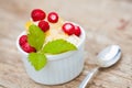 Vegan icecream with forest strawberries Royalty Free Stock Photo