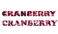 Vegan inscription text. Real cranberry. Isolated png