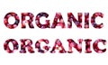 Vegan inscription text. Real cranberry. Isolated png