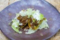 Vegan jackfruit tacos in a cafe in Bali, Indonesia Royalty Free Stock Photo