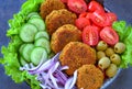 Vegan lebanese cuisine - Falafel with salad