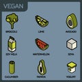 Vegan life color outline isometric icons set Royalty Free Stock Photo