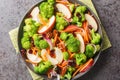 Vegan low carb diet broccoli, pecans, cranberries, carrots and apples salad with delicious flavors and textures closeup on the