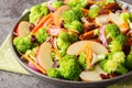 Vegan low carb diet broccoli, pecans, cranberries, carrots and apples salad with delicious flavors and textures closeup on the