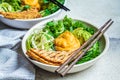 Vegan lunch - buddha bowl with zucchini pasta, grilled tofu, guacamole, sweet potato hummus and vegetables, gray background Royalty Free Stock Photo
