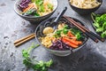 Vegan miso noodle soup with mushrooms, red cabbage, carrots and sprouts Royalty Free Stock Photo