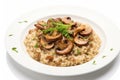 Vegan Mushroom Risotto On White Round Plate On White Background