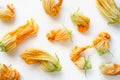 Vegan nutrient food. Fresh zucchini flowers. Royalty Free Stock Photo