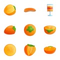 Vegan persimmon icon set, cartoon style