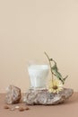 Vegan plant almond nut milk , minimalist composition with natural material stone, a glass with milk, dried sunflower and almond