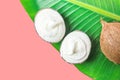 Vegan plant based coconut ice cream in natural material bowls on fresh green palm leaf on pink background Royalty Free Stock Photo
