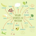 Vegan plant-based sources of protein