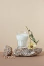 Vegan plant bean milk from soy or pea minimalist composition with natural material