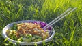 Vegan poke bowl, Hawaiian dish, with chopsticks in the grass Royalty Free Stock Photo