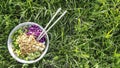 Vegan poke bowl, Hawaiian dish, with chopsticks in the grass Royalty Free Stock Photo