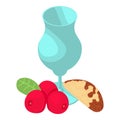 Vegan product icon isometric vector. Glass goblet brazil nut and red cranberry