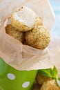 Vegan risotto arancini Royalty Free Stock Photo