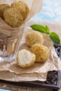 Vegan risotto arancini Royalty Free Stock Photo