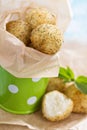 Vegan risotto arancini Royalty Free Stock Photo