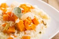 Vegan risotto with butternut squash Royalty Free Stock Photo
