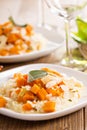 Vegan risotto with butternut squash Royalty Free Stock Photo